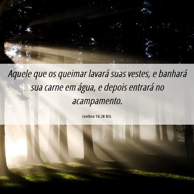 Picture 06 - Levítico 16:28 BSL - Aquele que os queimar lavará suas vestes, e - Bible Verse Picture