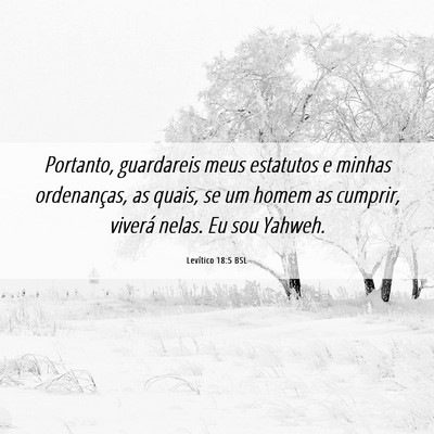 Picture 06 - Levítico 18:5 BSL - Portanto, guardareis meus estatutos e minhas - Bible Verse Picture