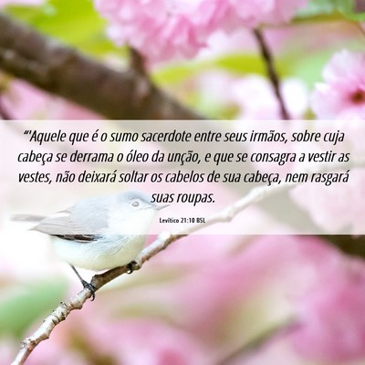 Picture 06 - Levítico 21:10 BSL - “'Aquele que é o sumo sacerdote entre seus - Bible Verse Picture