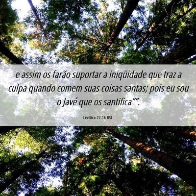 Picture 06 - Levítico 22:16 BSL - e assim os farão suportar a iniqüidade que traz - Bible Verse Picture