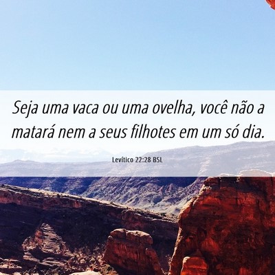 Picture 06 - Levítico 22:28 BSL - Seja uma vaca ou uma ovelha, você não a matará - Bible Verse Picture