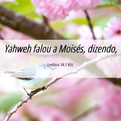 Picture 06 - Levítico 24:1 BSL - Yahweh falou a Moisés, - Bible Verse Picture