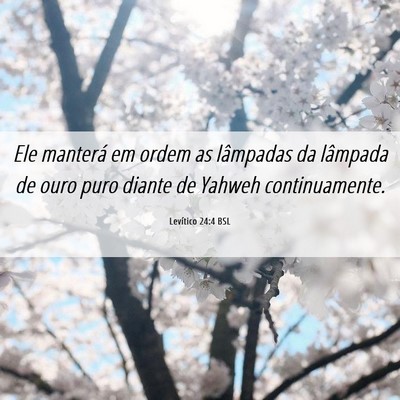 Picture 06 - Levítico 24:4 BSL - Ele manterá em ordem as lâmpadas da lâmpada de - Bible Verse Picture