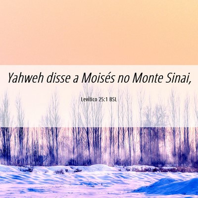 Picture 06 - Levítico 25:1 BSL - Yahweh disse a Moisés no Monte - Bible Verse Picture