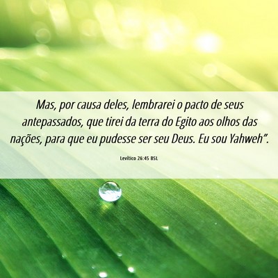 Picture 06 - Levítico 26:45 BSL - Mas, por causa deles, lembrarei o pacto de seus - Bible Verse Picture