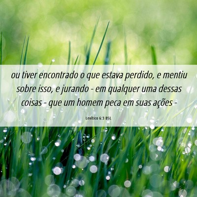 Picture 06 - Levítico 6:3 BSL - ou tiver encontrado o que estava perdido, e - Bible Verse Picture