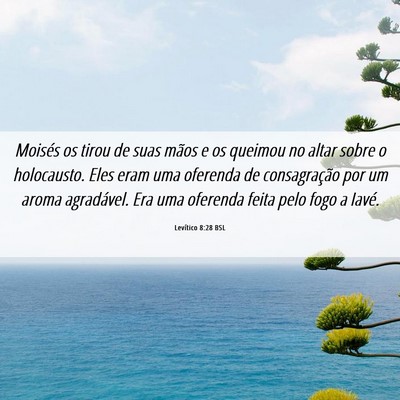 Picture 06 - Levítico 8:28 BSL - Moisés os tirou de suas mãos e os queimou no - Bible Verse Picture