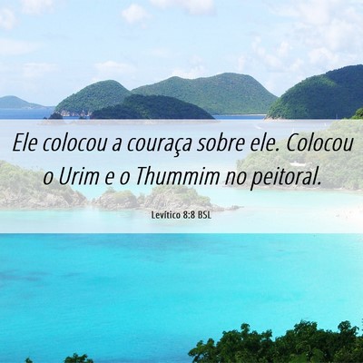 Picture 06 - Levítico 8:8 BSL - Ele colocou a couraça sobre ele. Colocou o Urim - Bible Verse Picture