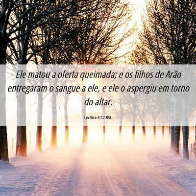 Picture 06 - Levítico 9:12 BSL - Ele matou a oferta queimada; e os filhos de Arão - Bible Verse Picture