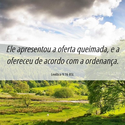 Picture 06 - Levítico 9:16 BSL - Ele apresentou a oferta queimada, e a ofereceu de - Bible Verse Picture