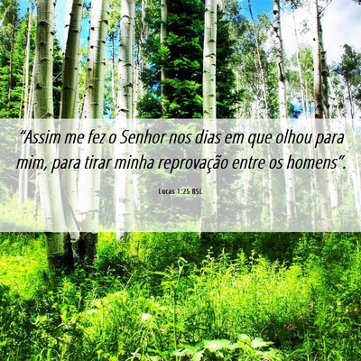 Picture 06 - Lucas 1:25 BSL - “Assim me fez o Senhor nos dias em que olhou - Bible Verse Picture