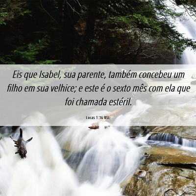 Picture 06 - Lucas 1:36 BSL - Eis que Isabel, sua parente, também concebeu um - Bible Verse Picture