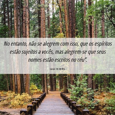 Picture 06 - Lucas 10:20 BSL - No entanto, não se alegrem com isso, que os - Bible Verse Picture