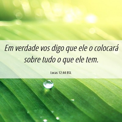 Picture 06 - Lucas 12:44 BSL - Em verdade vos digo que ele o colocará sobre - Bible Verse Picture