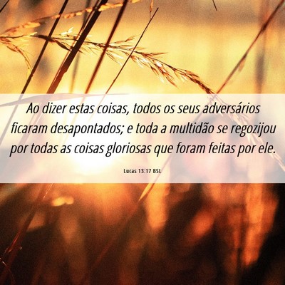 Picture 06 - Lucas 13:17 BSL - Ao dizer estas coisas, todos os seus adversários - Bible Verse Picture