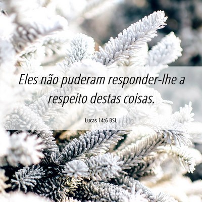 Picture 06 - Lucas 14:6 BSL - Eles não puderam responder-lhe a respeito destas - Bible Verse Picture