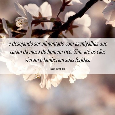 Picture 06 - Lucas 16:21 BSL - e desejando ser alimentado com as migalhas que - Bible Verse Picture