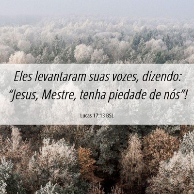 Picture 06 - Lucas 17:13 BSL - Eles levantaram suas vozes, dizendo: “Jesus, - Bible Verse Picture