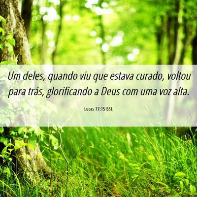 Picture 06 - Lucas 17:15 BSL - Um deles, quando viu que estava curado, voltou - Bible Verse Picture