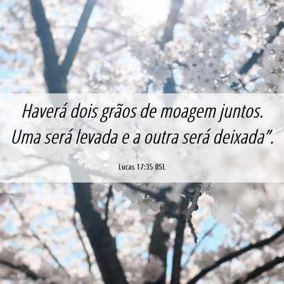 Picture 06 - Lucas 17:35 BSL - Haverá dois grãos de moagem juntos. Uma será - Bible Verse Picture