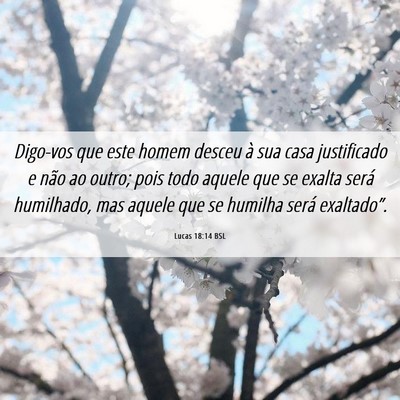 Picture 06 - Lucas 18:14 BSL - Digo-vos que este homem desceu à sua casa - Bible Verse Picture