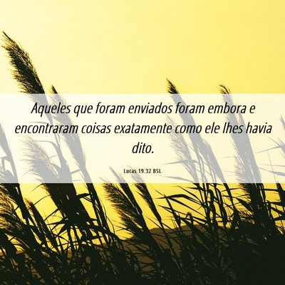 Picture 06 - Lucas 19:32 BSL - Aqueles que foram enviados foram embora e - Bible Verse Picture