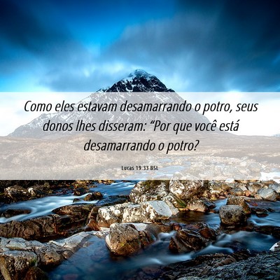 Picture 06 - Lucas 19:33 BSL - Como eles estavam desamarrando o potro, seus - Bible Verse Picture