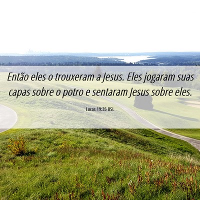 Picture 06 - Lucas 19:35 BSL - Então eles o trouxeram a Jesus. Eles jogaram - Bible Verse Picture