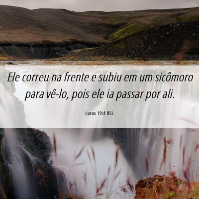 Picture 06 - Lucas 19:4 BSL - Ele correu na frente e subiu em um sicômoro para - Bible Verse Picture