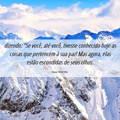 Picture 06 - Lucas 19:42 BSL - dizendo: “Se você, até você, tivesse - Bible Verse Picture