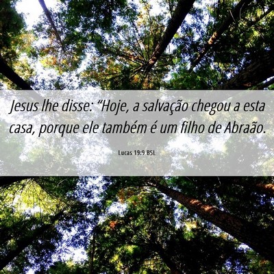 Picture 06 - Lucas 19:9 BSL - Jesus lhe disse: “Hoje, a salvação chegou a - Bible Verse Picture