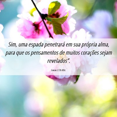 Picture 06 - Lucas 2:35 BSL - Sim, uma espada penetrará em sua própria alma, - Bible Verse Picture