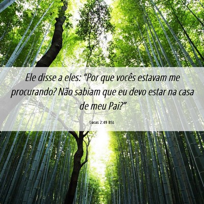 Picture 06 - Lucas 2:49 BSL - Ele disse a eles: “Por que vocês estavam me - Bible Verse Picture