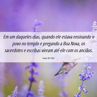 Picture 06 - Lucas 20:1 BSL - Em um daqueles dias, quando ele estava ensinando - Bible Verse Picture