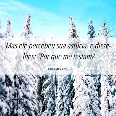 Picture 06 - Lucas 20:23 BSL - Mas ele percebeu sua astúcia, e disse-lhes: - Bible Verse Picture