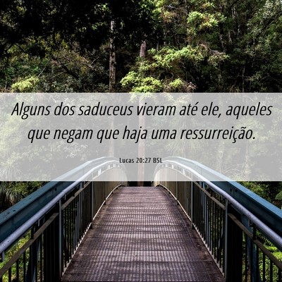 Picture 06 - Lucas 20:27 BSL - Alguns dos saduceus vieram até ele, aqueles que - Bible Verse Picture