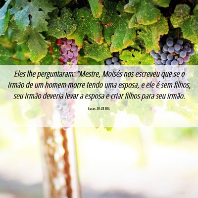 Picture 06 - Lucas 20:28 BSL - Eles lhe perguntaram: “Mestre, Moisés nos - Bible Verse Picture