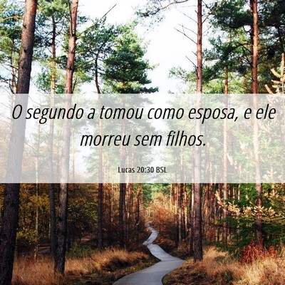 Picture 06 - Lucas 20:30 BSL - O segundo a tomou como esposa, e ele morreu sem - Bible Verse Picture