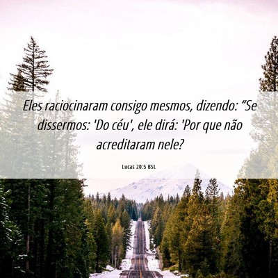 Picture 06 - Lucas 20:5 BSL - Eles raciocinaram consigo mesmos, dizendo: “Se - Bible Verse Picture