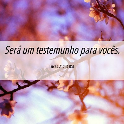 Picture 06 - Lucas 21:13 BSL - Será um testemunho para - Bible Verse Picture
