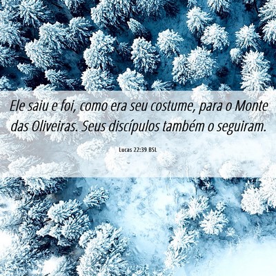 Picture 06 - Lucas 22:39 BSL - Ele saiu e foi, como era seu costume, para o - Bible Verse Picture