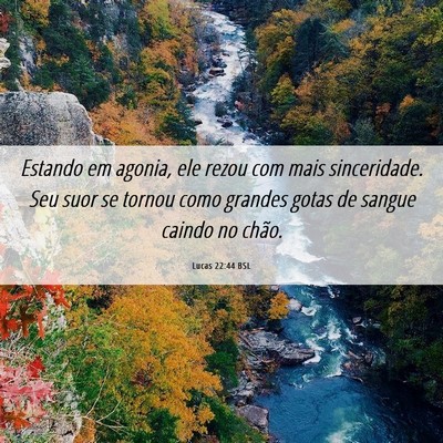 Picture 06 - Lucas 22:44 BSL - Estando em agonia, ele rezou com mais - Bible Verse Picture