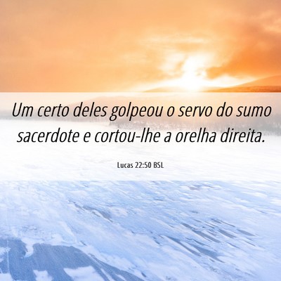 Picture 06 - Lucas 22:50 BSL - Um certo deles golpeou o servo do sumo sacerdote - Bible Verse Picture