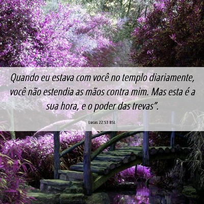 Picture 06 - Lucas 22:53 BSL - Quando eu estava com você no templo diariamente, - Bible Verse Picture