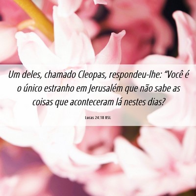 Picture 06 - Lucas 24:18 BSL - Um deles, chamado Cleopas, respondeu-lhe: - Bible Verse Picture