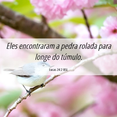 Picture 06 - Lucas 24:2 BSL - Eles encontraram a pedra rolada para longe do - Bible Verse Picture