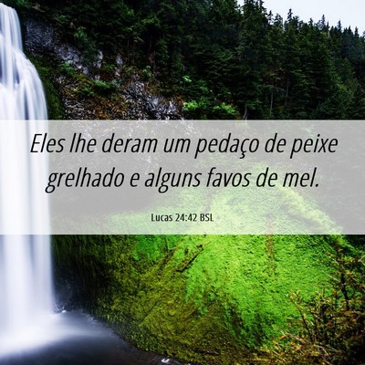 Picture 06 - Lucas 24:42 BSL - Eles lhe deram um pedaço de peixe grelhado e - Bible Verse Picture