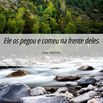 Picture 06 - Lucas 24:43 BSL - Ele os pegou e comeu na frente - Bible Verse Picture