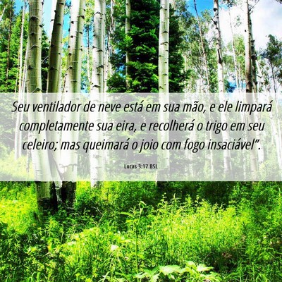 Picture 06 - Lucas 3:17 BSL - Seu ventilador de neve está em sua mão, e ele - Bible Verse Picture