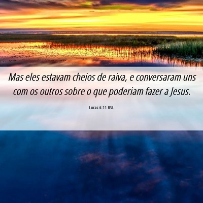 Picture 06 - Lucas 6:11 BSL - Mas eles estavam cheios de raiva, e conversaram - Bible Verse Picture